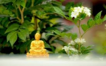 Tu đức tạo nghiệp